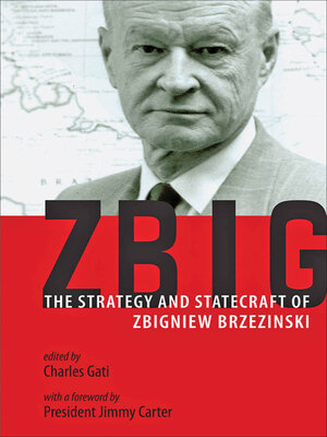 cover image of Zbig